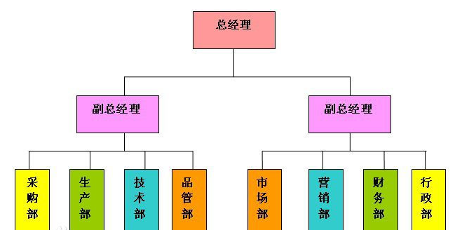 职能型组织结构